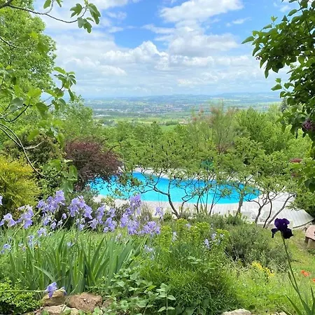 Les Hauts De Jeanvert - Le Bouleau - Piscine - * Gaillac
