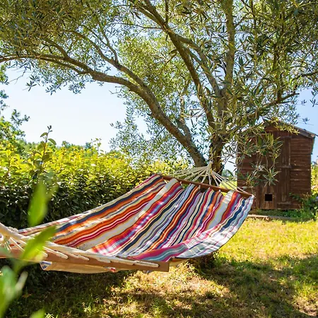 Semesterbostad Les Hauts De Jeanvert - Le Bouleau - Piscine - Gaillac