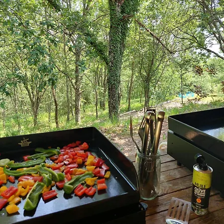 Les Hauts De Jeanvert - Le Bouleau - Piscine - * Gaillac